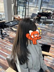 -IDOL-PLUS