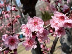 -北京明城墙遗址公园
