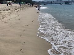 -玫瑰海岸文化旅游度假区