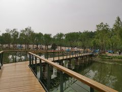 -东郊湿地公园