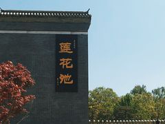-莲花池公园
