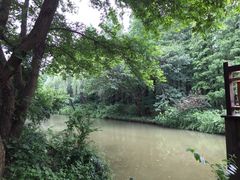 同里国家湿地公园-同里国家湿地公园