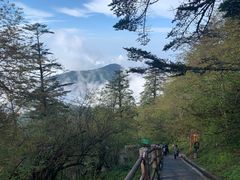 -峨眉山风景名胜区