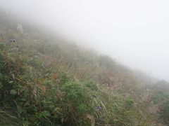 -白草畔自然风景区