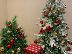 -新世界百货(明洞总店)