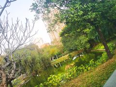 -人民公园(罗湖区)