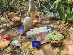 -国家植物园南园