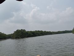 -东寨港红树林旅游区