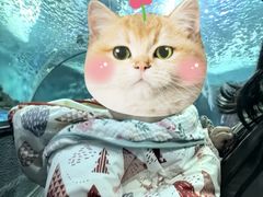 -上海海洋水族馆