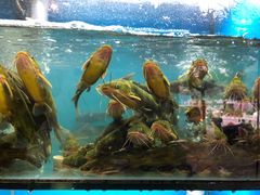 -老村长土菜馆(湖墅南路店)