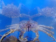 -快乐海鲜城(虎泉街店)