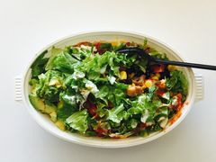 -油梨树 AVOCADO TREE(亮马桥店)