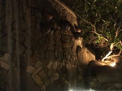 -厦门日月谷温泉渡假村