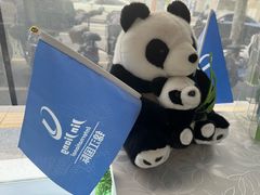 -锦江旅游(上海旅行社店)