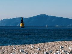 -海云台海滩