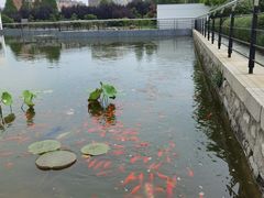 -石家庄市植物园
