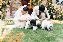 -美薇亭婚礼顾问
