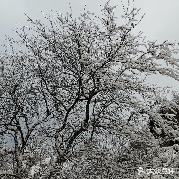 雾凇、白雪、冰挂这里都有