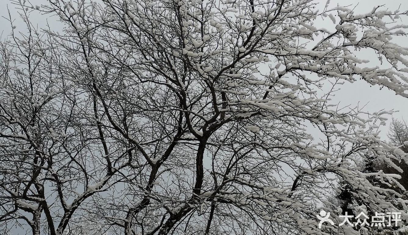 雾凇、白雪、冰挂这里都有