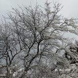 雾凇、白雪、冰挂这里都有