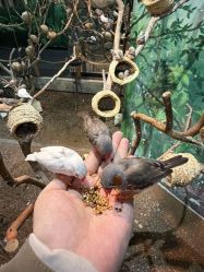 -Zoolung Zoolung动物主题公园(海信广场店)