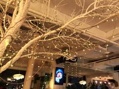 -水边(郯城店)
