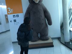 -济州岛泰迪熊博物馆