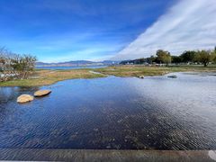 -洱海月湿地公园