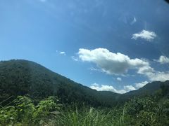 -养马峡