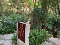 -青城道汤池