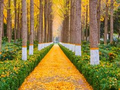 -长白岛森林公园