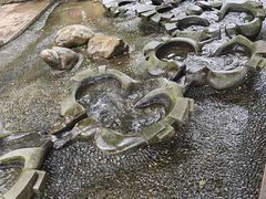 -成都市活水公园