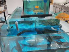 -桐庐土菜馆·传承经典土菜