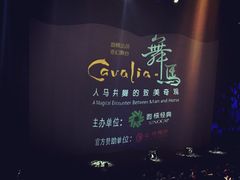 -cavalia·舞马