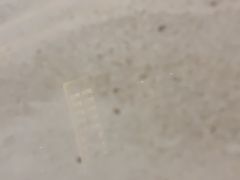 -世纪联华超市(江城店)