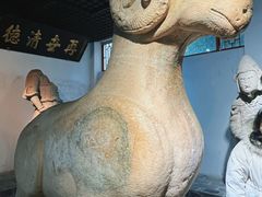 -徐州龟山景区