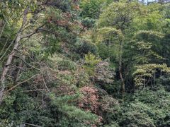 -东天目山风景区