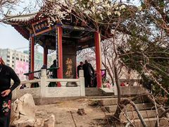 -桃花堤公园