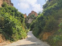 -彩色沙林风景区