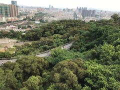 -金鸡山公园