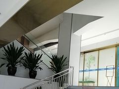 -美可普口腔医院(东街分店)