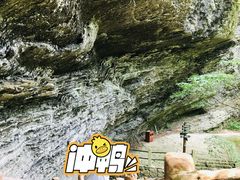 -黎坪国家森林公园