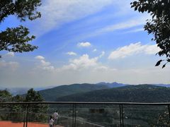 -铁山坪森林公园