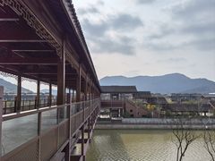 -树山生态村