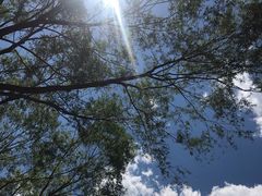 -永定河休闲森林公园