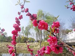 -尚贤河湿地