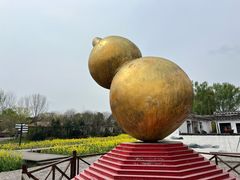 -溱湖国家湿地公园