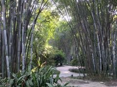 -望江楼公园