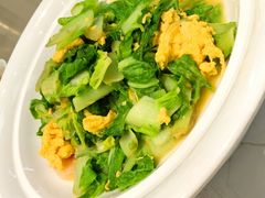 渔村小白菜-船歌·鱼水饺青岛菜(国贸商城店)