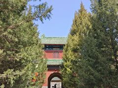 -月坛公园